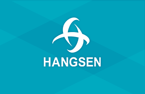 网站建设案例：Hangsen Holding